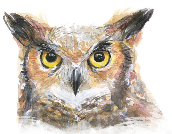 Bleed Area May Not Be Visible - Great Horned Owl Watercolor Canvas Print - Small (600x451), Png Download