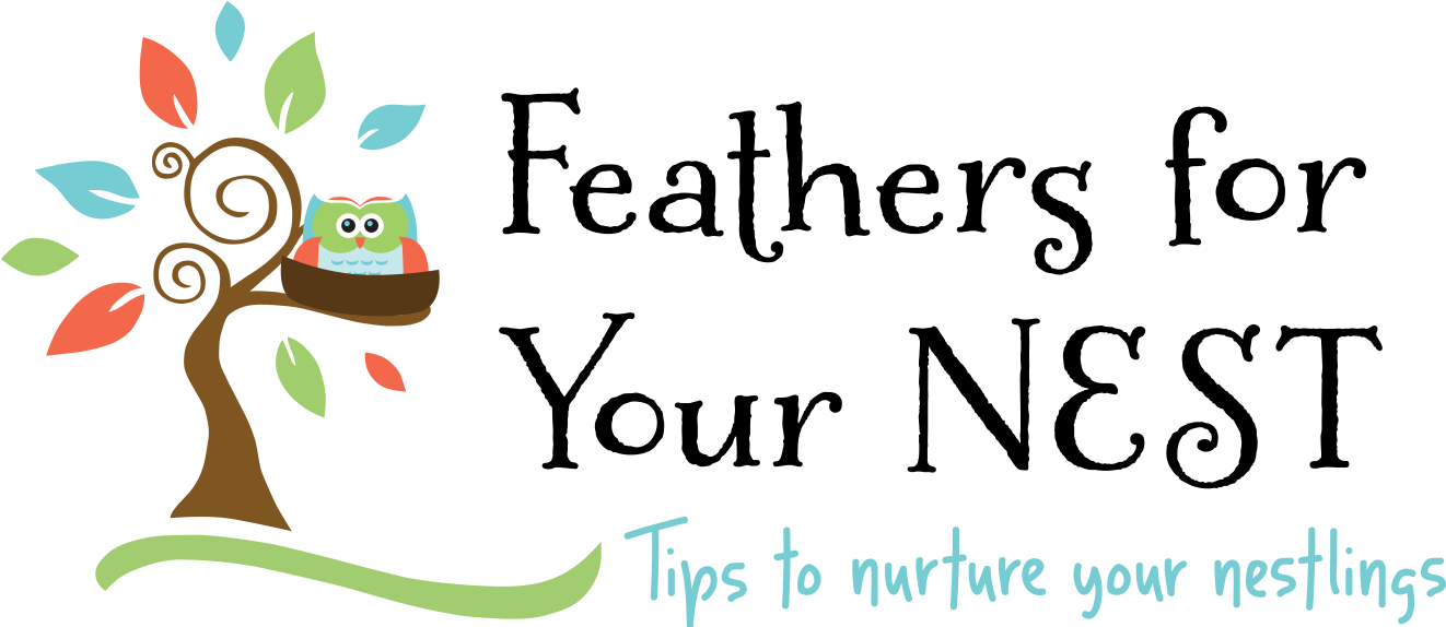 The Rec - Feather (1912x574), Png Download