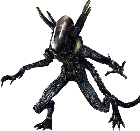 Alien Png Image - Play Arts Kai Aliens Colonial Marines (480x450), Png Download