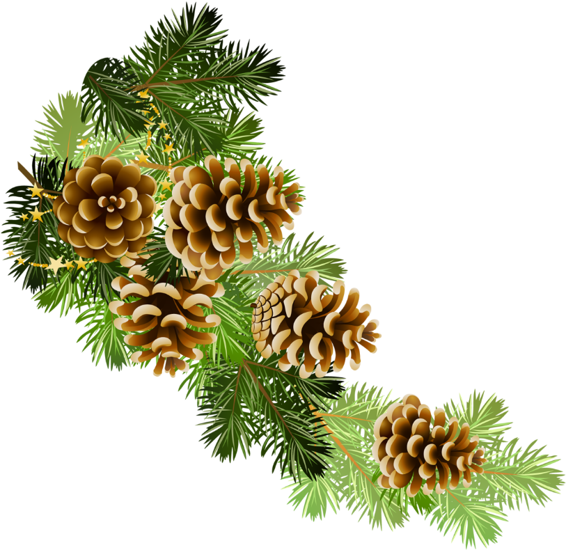 Holydays Clipart Pinecone - Pine Cone Border Clip Art (842x828), Png Download