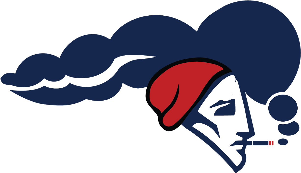 Nfl Logos-02 - New England Patriots (1600x1600), Png Download