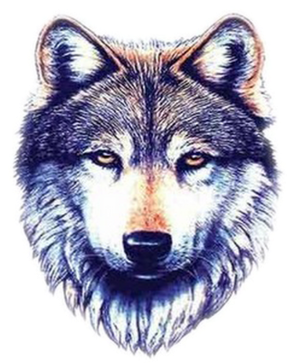 Cream Wolf Head Pictures - Волк Пнг (400x400), Png Download