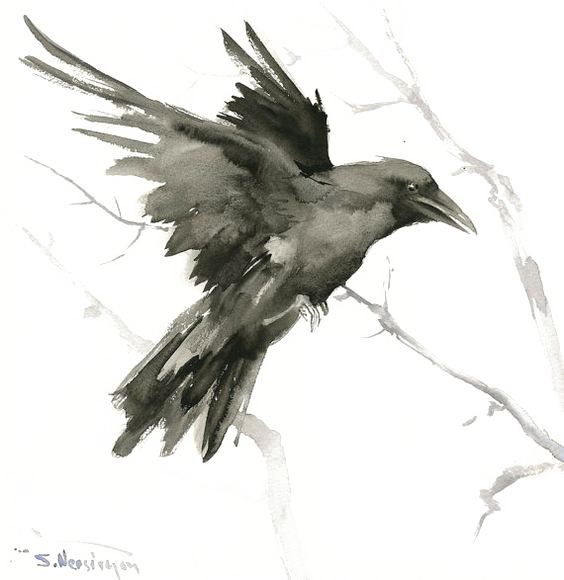 Clipart Freeuse Stock Common Raven Bird Tattoo Art - Crow Watercolor Painting (564x580), Png Download