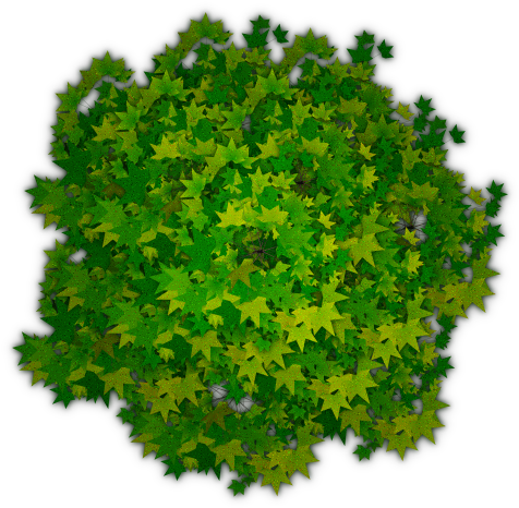 Clipart Royalty Free Download Tree Transparent Png - Photoshop Trees Top Png (500x500), Png Download