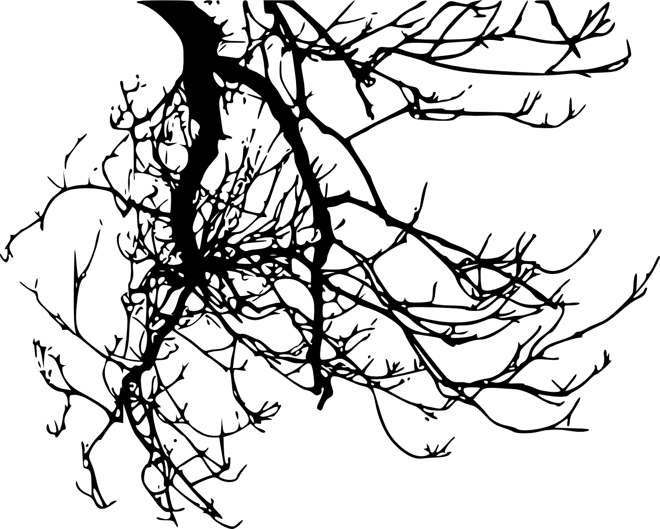 Free Download - Branch Silhouette Transparent (1322x1060), Png Download