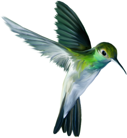 Feather Art, Bird Feathers, Watercolor Bird, Watercolor - Animal Colibri Png (451x500), Png Download