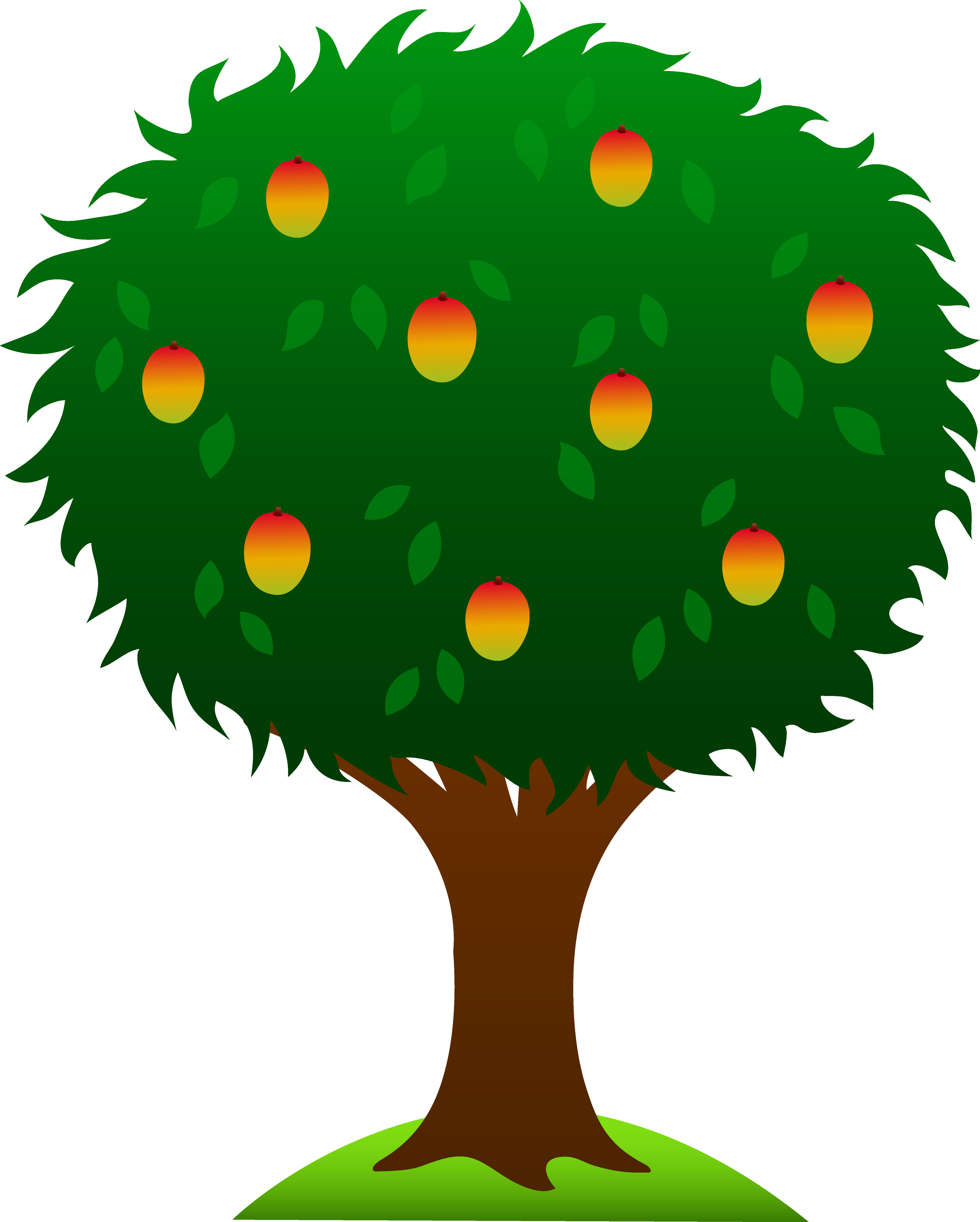 Tree Cartoon Pictures - Orange Tree Clipart (5178x6456), Png Download