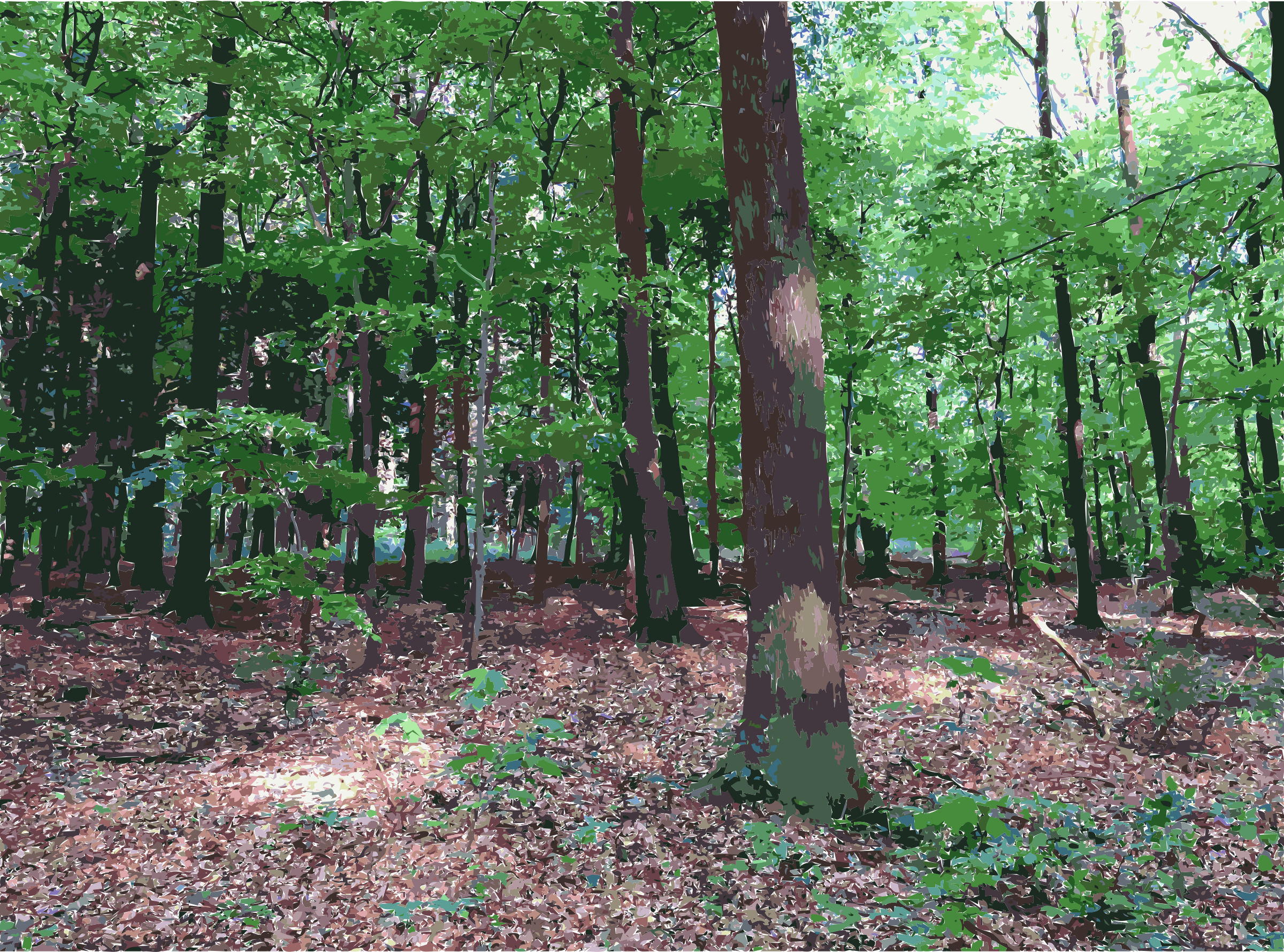 Clipart Lichtscheid Again Big Banner Transparent - Forest Transparent (2400x1779), Png Download
