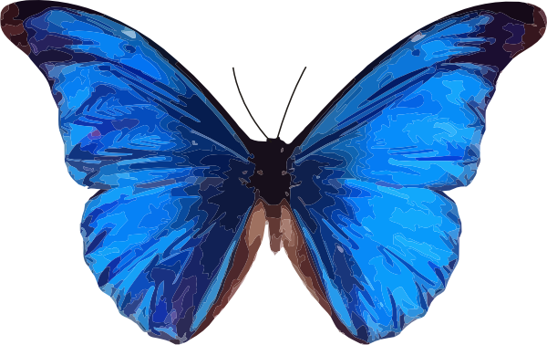 How To Set Use Blue Butterfly Svg Vector (600x378), Png Download