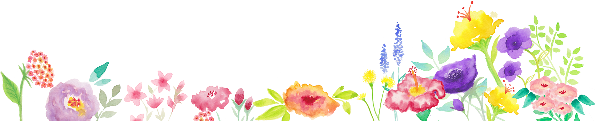 Header Flowers Bottom All 1 - Wordpress (1937x394), Png Download