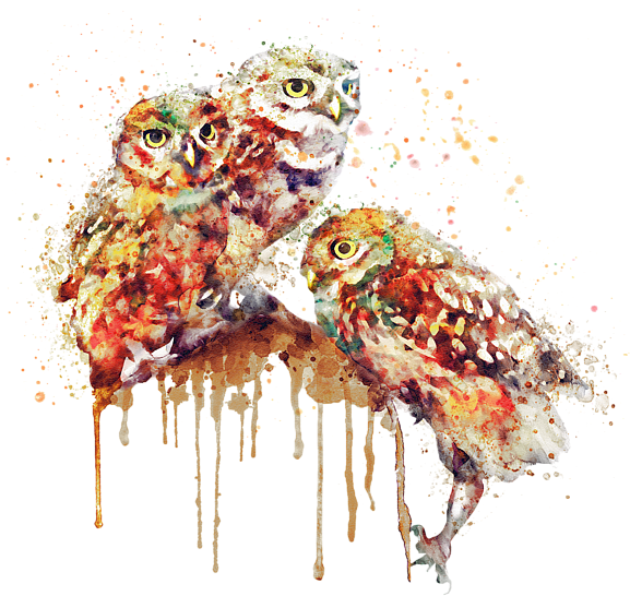Bleed Area May Not Be Visible - Black And White Owl Watercolor (600x600), Png Download