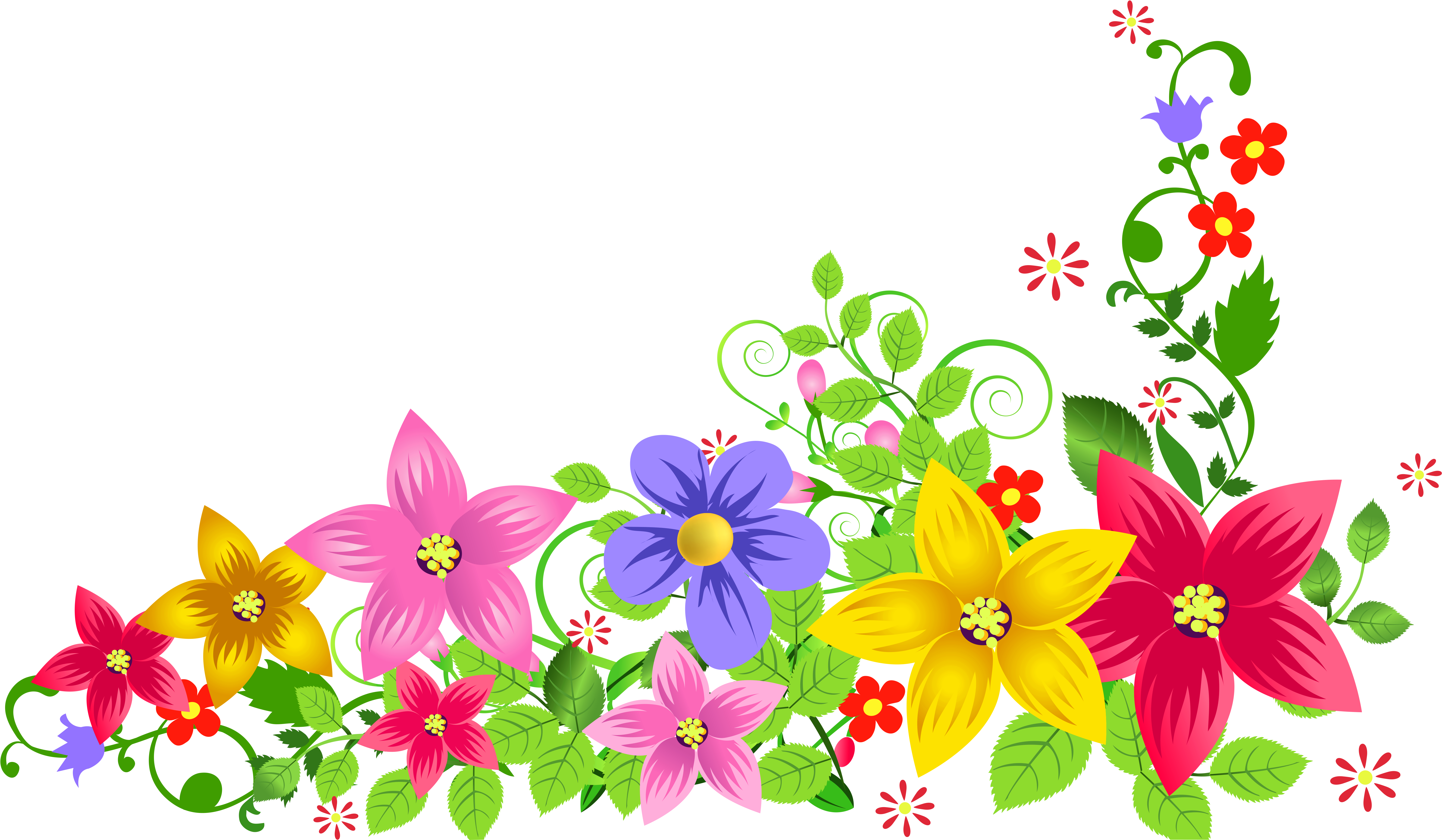 Flowers Borders And Frames (6446x4096), Png Download
