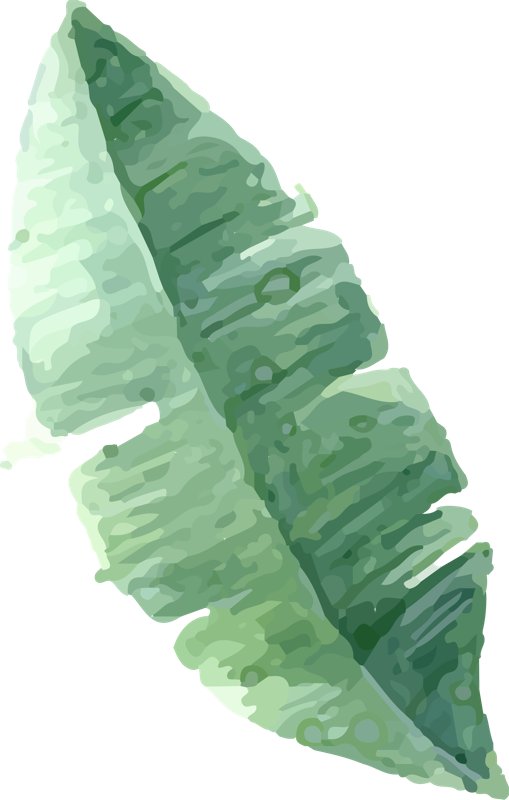 Watercolor Painting (509x800), Png Download