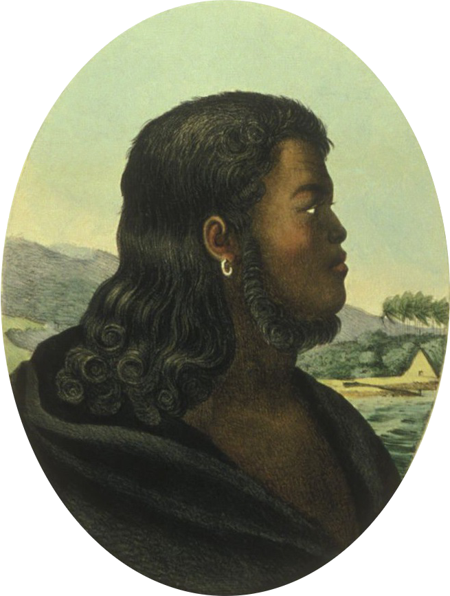 From Wikipedia, The Free Encyclopedia - Chief Kekaulike (655x867), Png Download