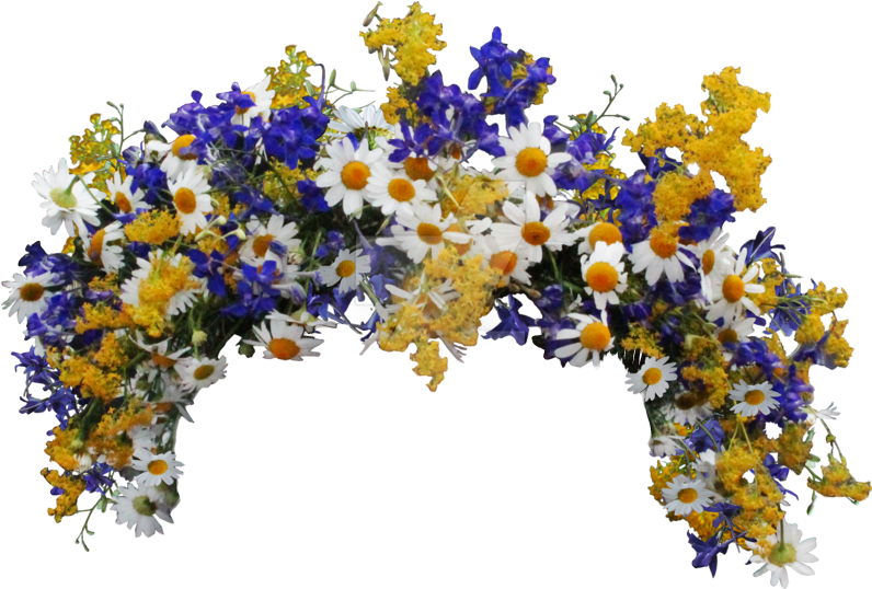 Report Abuse - Margarita Morrigan Deviantart (796x538), Png Download