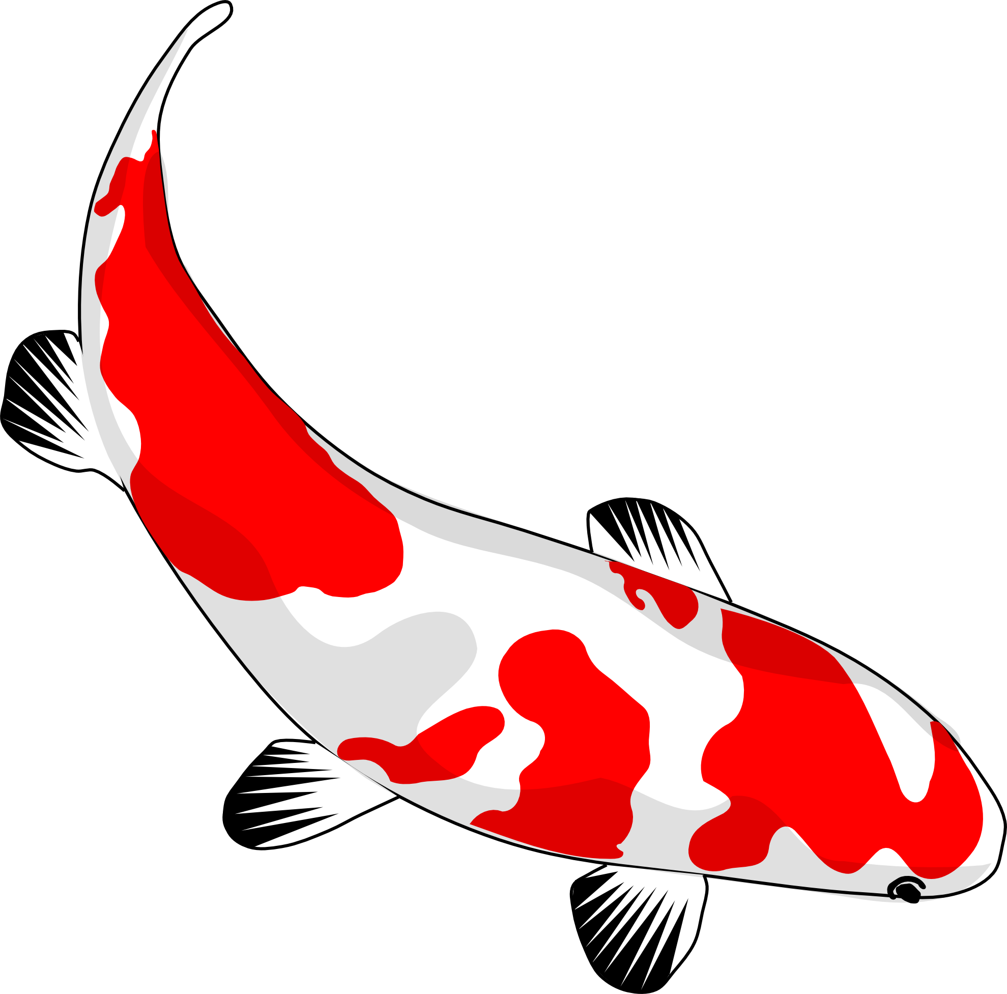 Koi Fish Line Drawing At Getdrawings - Koi Fish Clipart (1979x1953), Png Download
