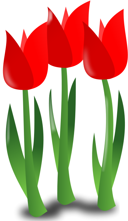 Clip Library Stock Mother Day Clipart Free - Mothers Day Clipart Flower (800x800), Png Download