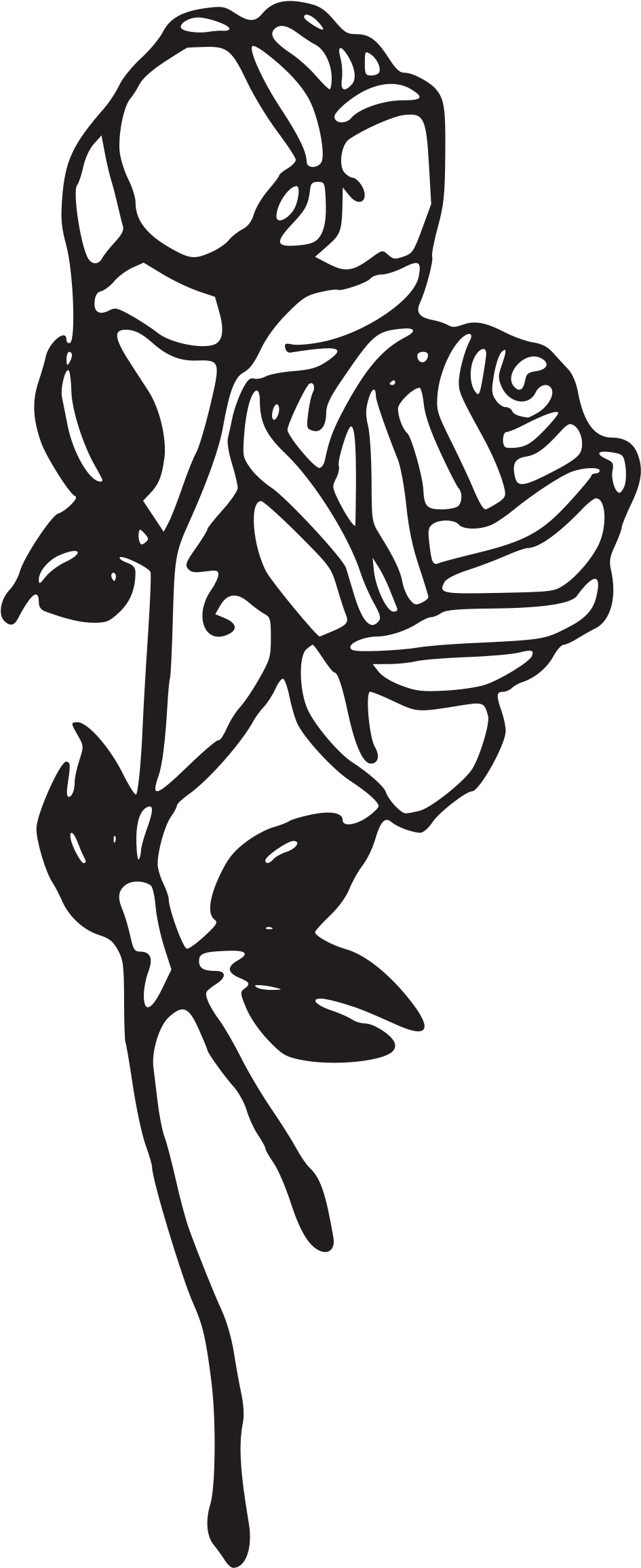 Black And White Rose Png Image Royalty Free Stock - Rose Clipart Png Black And White (2400x2400), Png Download