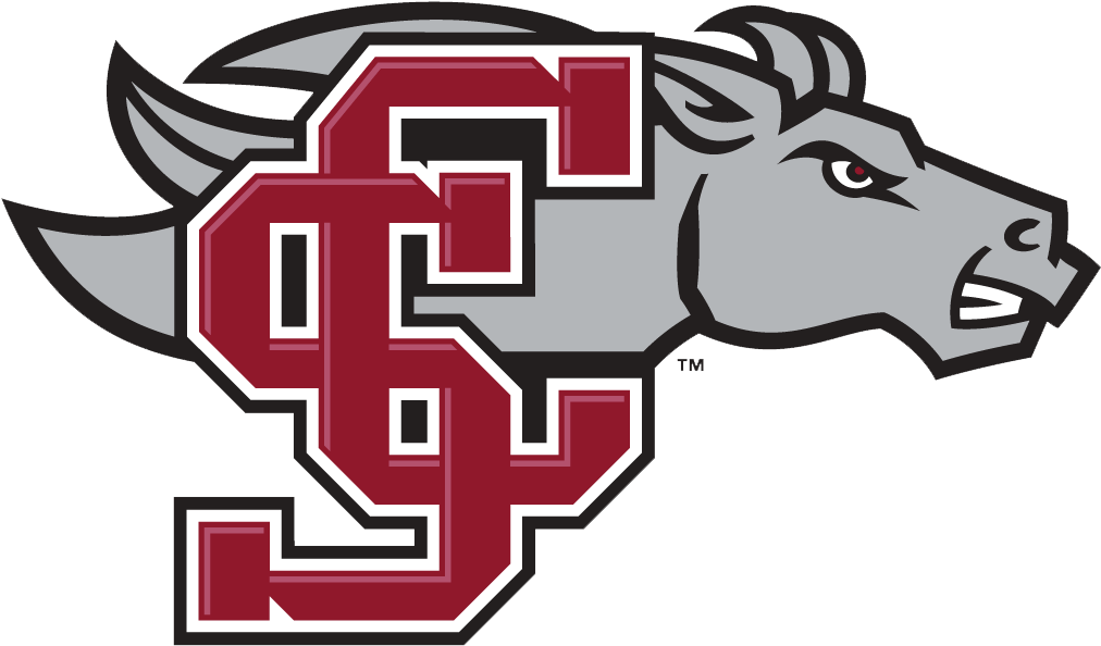 Santa Clara Broncos Women's Basketball- 2018 Schedule, - Santa Clara Broncos (1011x1011), Png Download