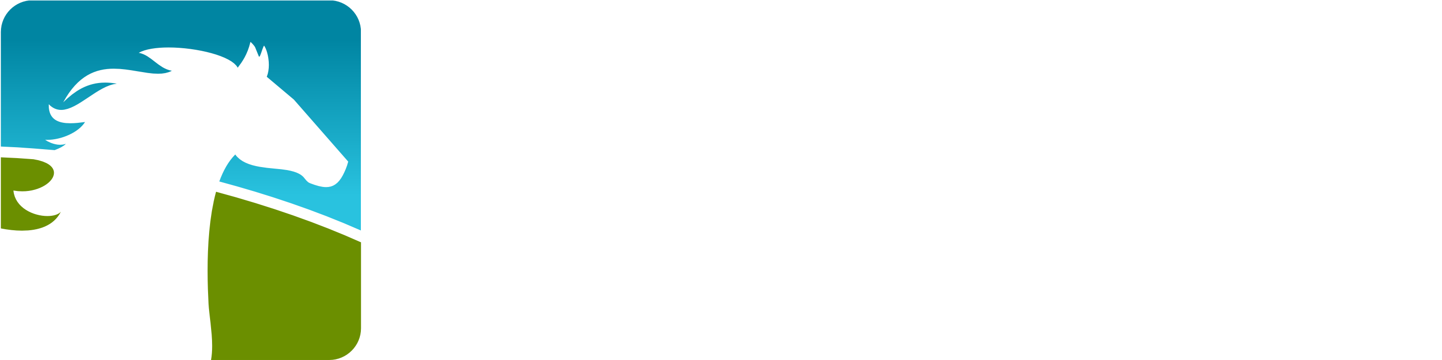 White Horse Logo - Mobile Phone Case (3066x987), Png Download