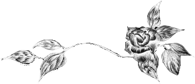 Black Flower Divider - Flower Transparent Black And White (400x400), Png Download