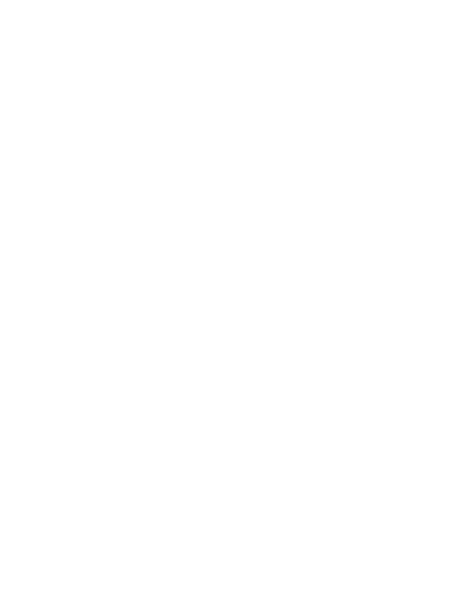 Wolf Paw Png - White Wolf Paw Print (462x594), Png Download