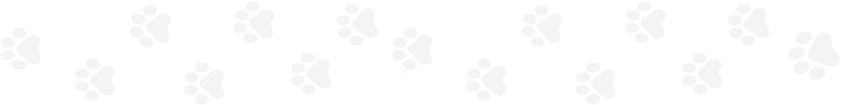 Wolf Paw Print Png - White Paw Prints Png (1754x417), Png Download
