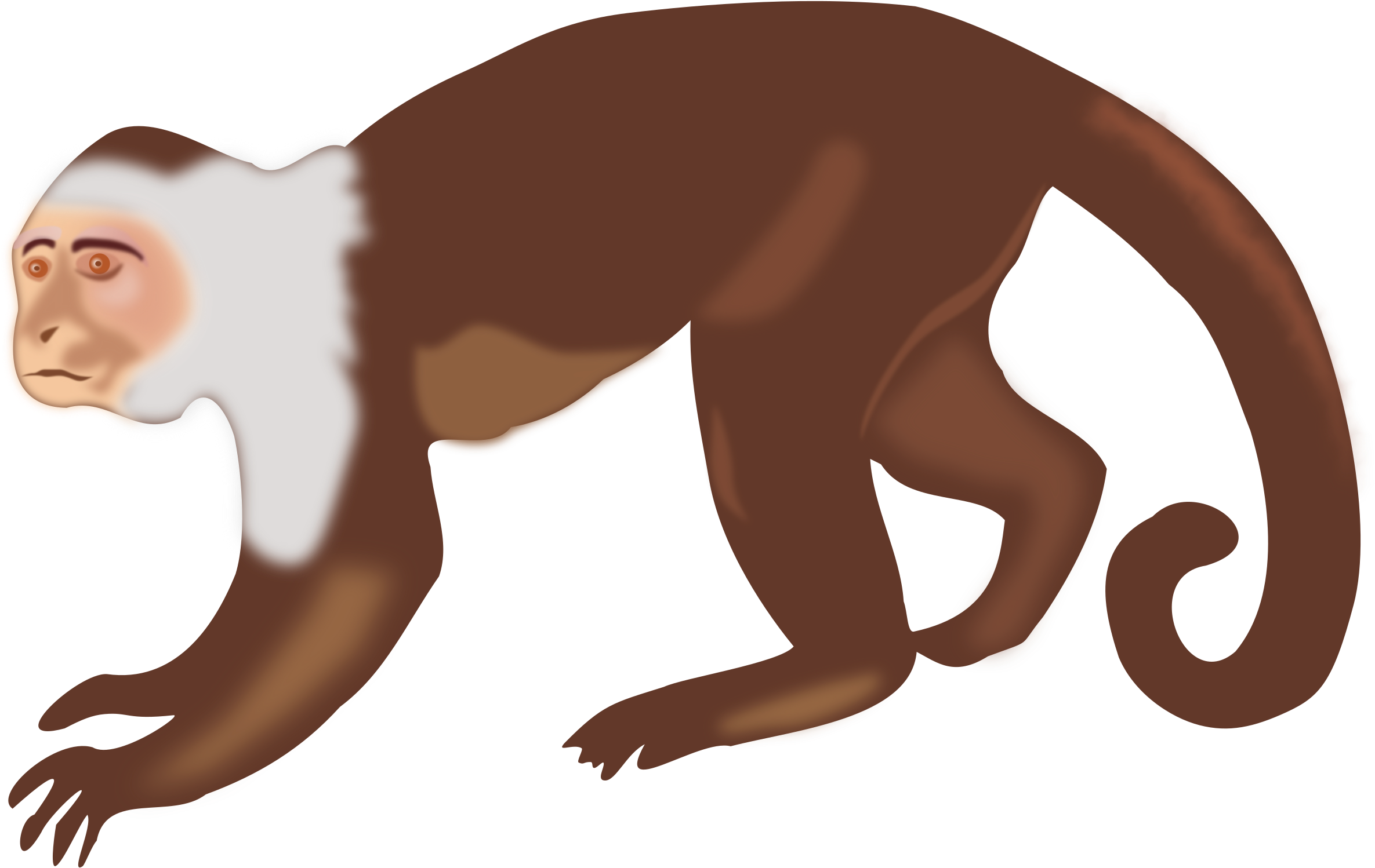 Clip Library Collection Of Free Download On Ubisafe - Capuchin Monkey Clip Art (2400x1551), Png Download
