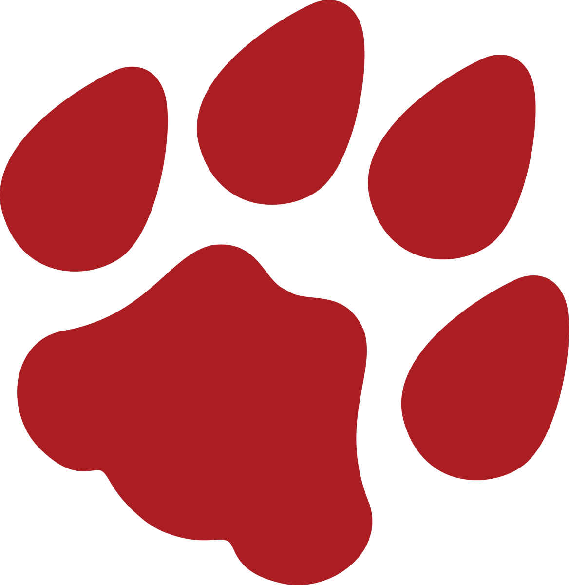 Wildcat Clipart Wolf Claw - University Of Arizona Paws (1168x1200), Png Download