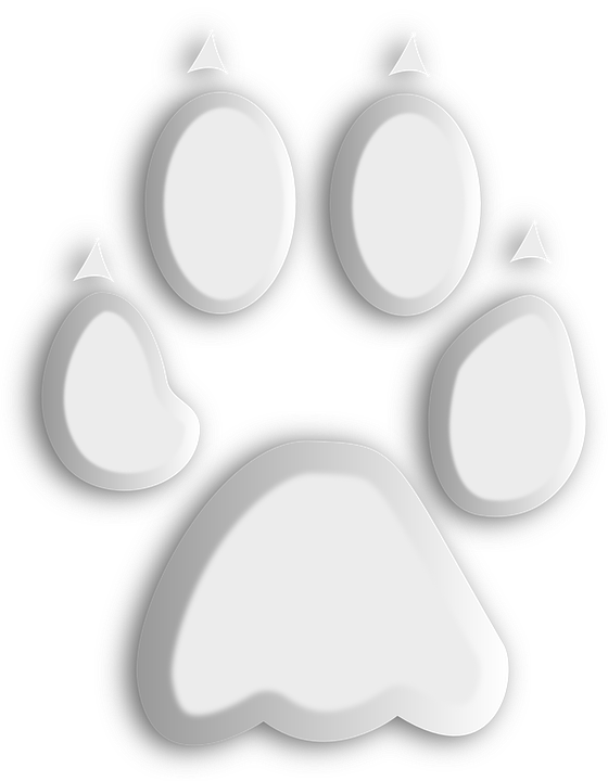 Kostenlose Vektorgrafik - Logo Kaki Serigala (560x720), Png Download