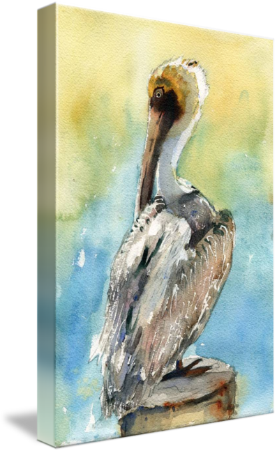"pelican Bird Art Pelican Brief" By Miriam Schulman - Gallery-wrapped Canvas Art Print 16 X 24 Entitled Pelican (397x650), Png Download
