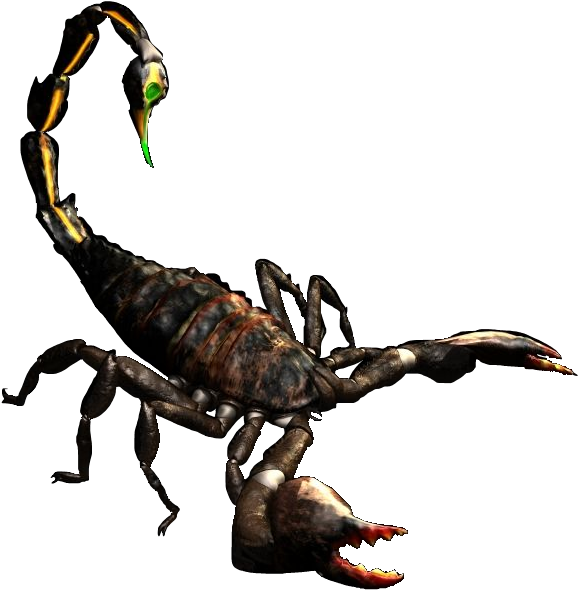 Png Transparent Library Radscorpion Concept Giant Bomb - Fallout Tactics Boom Bug (584x595), Png Download