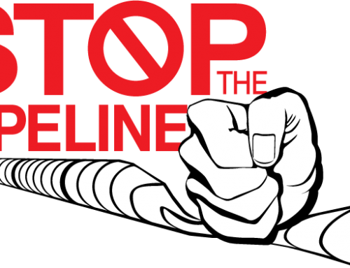 Stp Letter To Cuomo And Seggos - Stop The Pipeline (500x383), Png Download