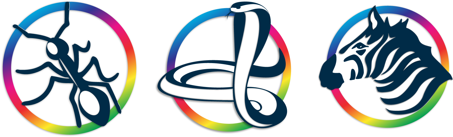 Colorlogic, Gmbh (1736x538), Png Download