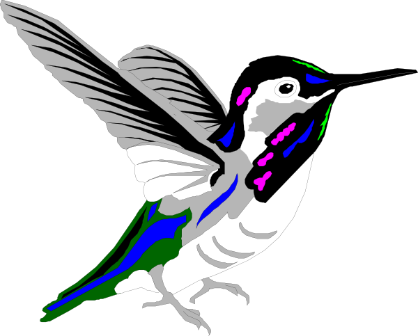 Multicolored Hummingbird Svg Clip Arts 600 X 483 Px (600x483), Png Download