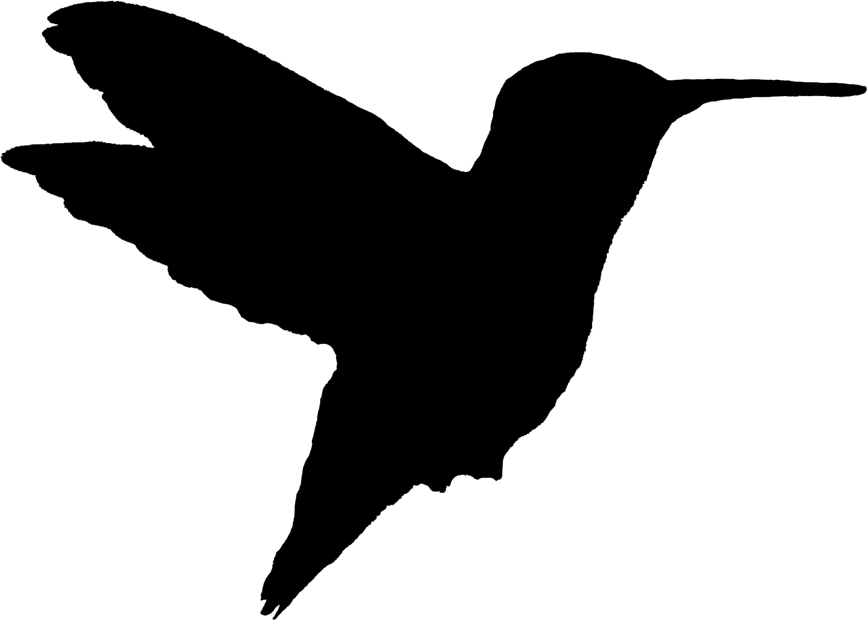 Ruby Throated Hummingbird - Ruby Throated Hummingbird Silhouette (1916x1302), Png Download
