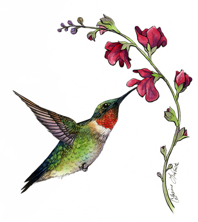 Fine Art- Nature - Watercolor Painting (400x448), Png Download