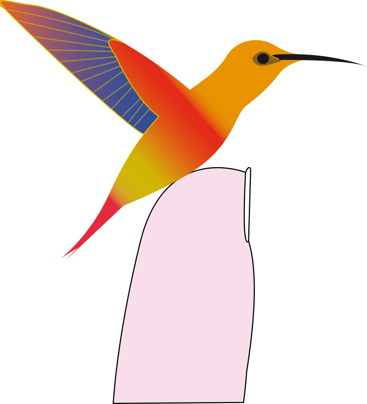 Cafepress Colorful Hummingbird Queen Duvet (727x800), Png Download