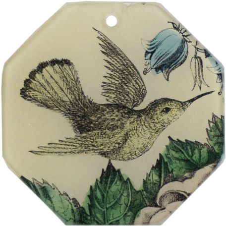 Sepia Hummingbird - Painted Bunting (500x500), Png Download