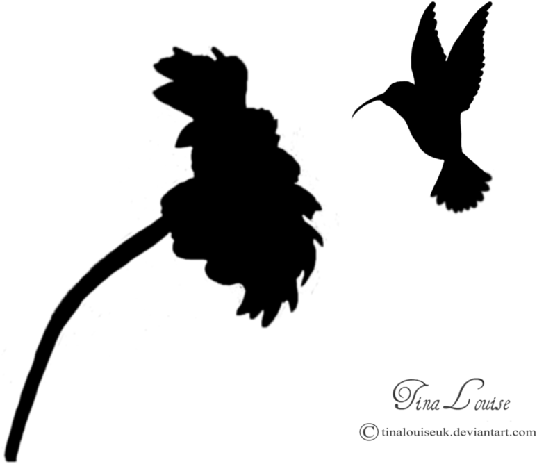 Hummingbird And Flower Clipart - Hummingbird And Flower Silhouette (894x894), Png Download