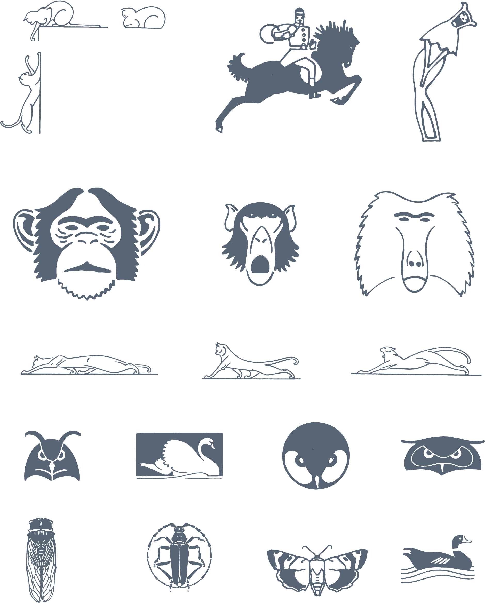 35 Best Free Art Nouveau Fonts (1920x2362), Png Download