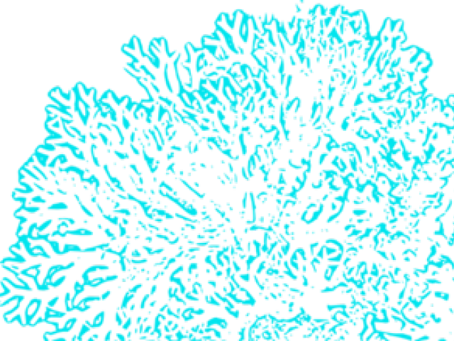 Coral Reef Clipart Blue - Beach Rules 2 Poster (640x480), Png Download