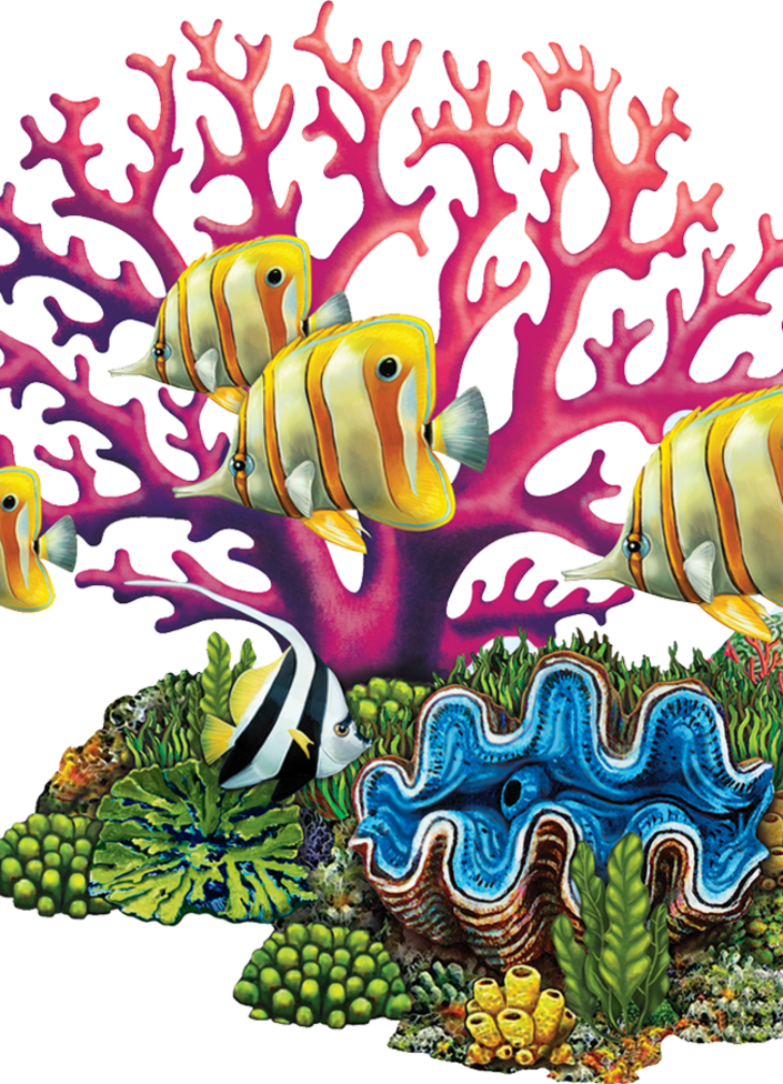 Coral (705x976), Png Download