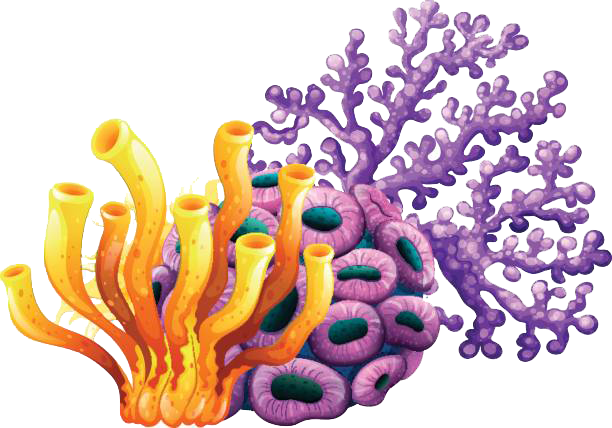 Blog De Una Lectora Apasionada Book Tag N17611 Animales - Coral Reef Clip Art (612x428), Png Download