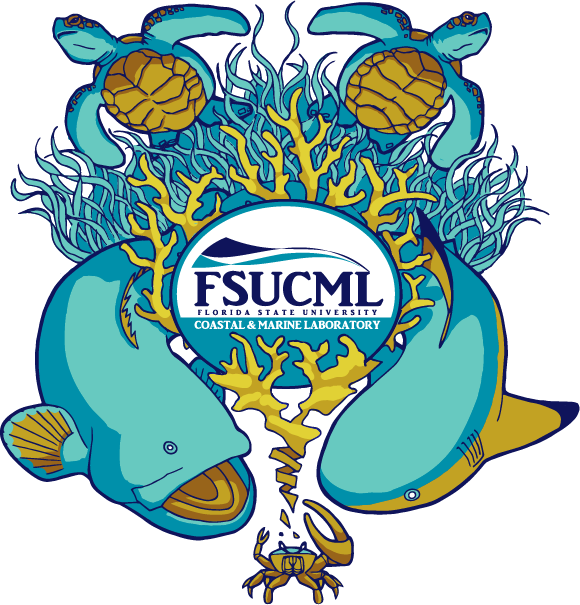 Florida State University Coastal And Marine Laboratory (580x605), Png Download