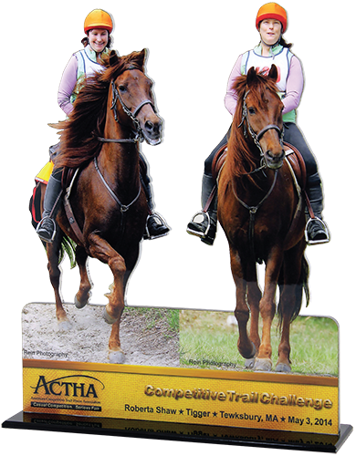 Made From 2 Photos - Photograph (390x500), Png Download