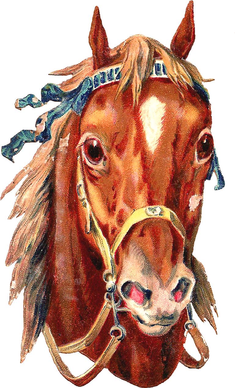 What Beautiful Horses These Are Two Magnificent Pieces - Free Horse Graphics Png (975x1503), Png Download