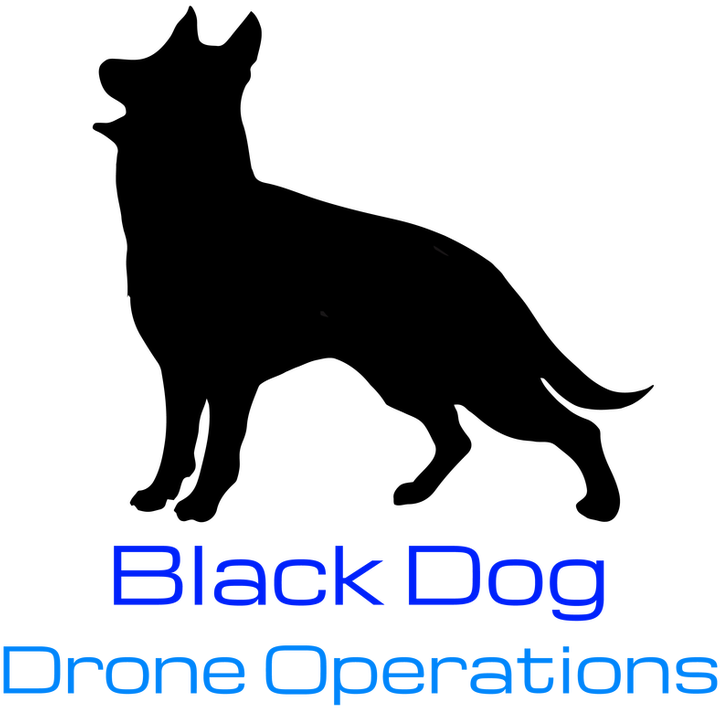 Black Dog Academy - Dog Catches Something (752x731), Png Download