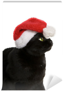 Black Cat Santa - Black Cat (400x400), Png Download