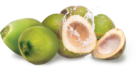 Buy Now - Green Coconut Images Png (577x284), Png Download